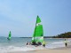 Image Gallery - Hobie® Grand Masters Head out for Race 3