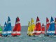 Image Gallery - Hobie® Grand Masters Race 3