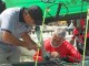 Image Gallery Day 1 - Women, Youth and Grand Masters