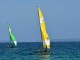 Image Gallery - Hobie Masters Class Day One