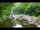 Shoalhaven