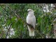 Shoalhaven