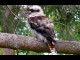 Shoalhaven