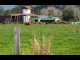 Shoalhaven