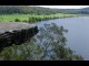 Shoalhaven