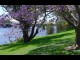 Shoalhaven