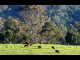 Shoalhaven