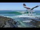 Jervis Bay