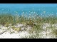 Jervis Bay