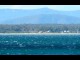 Jervis Bay