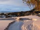 NSW Travel Information