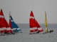 Image Gallery - Hobie 16 Open Series Qualifiers Day 3